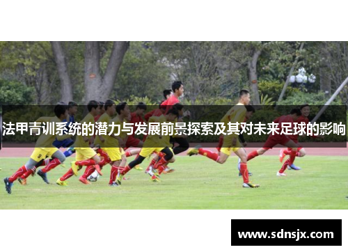 法甲青训系统的潜力与发展前景探索及其对未来足球的影响