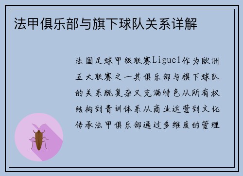 法甲俱乐部与旗下球队关系详解